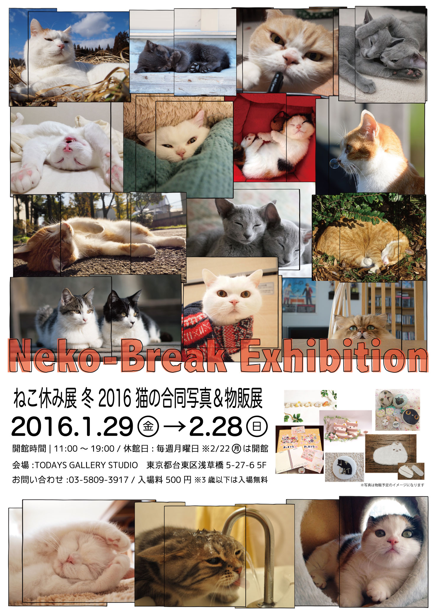 ねこ休み展 冬 16 猫の写真展 物販展 台東区浅草橋のギャラリー Todays Gallery Studio