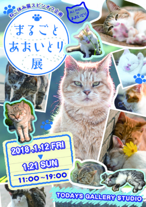 [オピニオン]青猫のアブハンドブック yga-76080-1_1.jpg