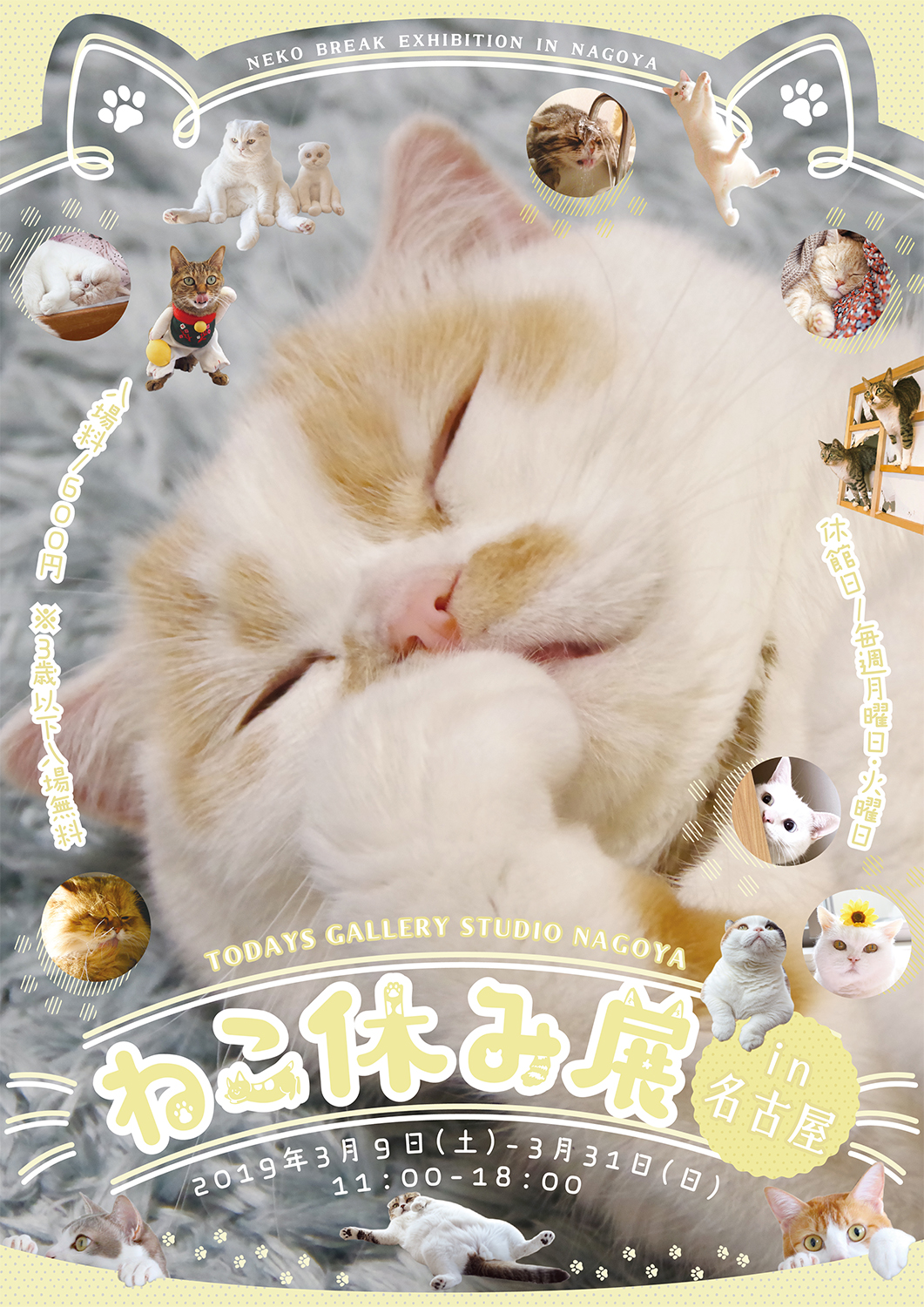 ねこ休み展 In 名古屋 猫の写真展 物販展 三都市巡回 名古屋 静岡 広島 Todays Gallery Studio Nagoya