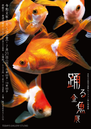 水槽で金魚のイラストのイラスト素材・ベクター Image 14175792