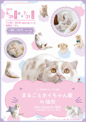猫さん様 すけ on X: 