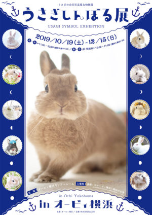 よるうさぎページ 61XL8jk3+NL._AC_UF350,