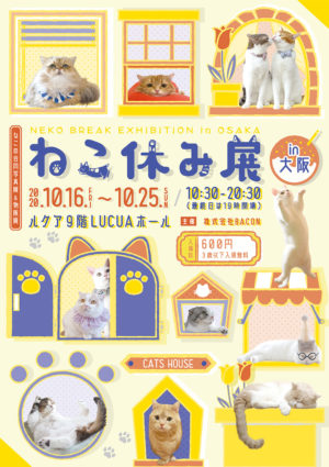 3a1e123bebe07d42e19e11374d65fa