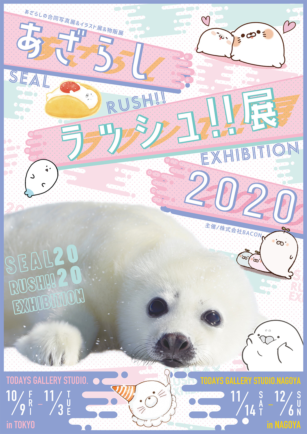 あざらしラッシュ!!展 2020 in 名古屋