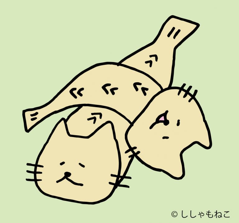 ししゃもねこ | 台東区浅草橋のギャラリー「TODAYS GALLERY STUDIO」