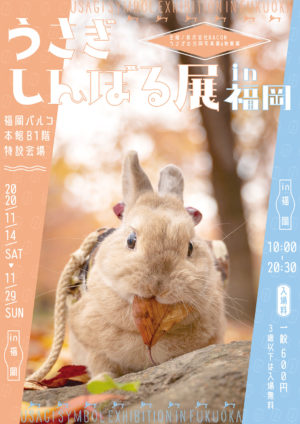 竹生島神社★虹入りうさぎ輝くオルゴナイトプレート 7月限定御朱印のご案内 片面 跳ねうさぎ 直書き可能 お時間5分