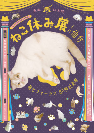 猫の合同写真展 物販展 ねこ休み展 In 仙台