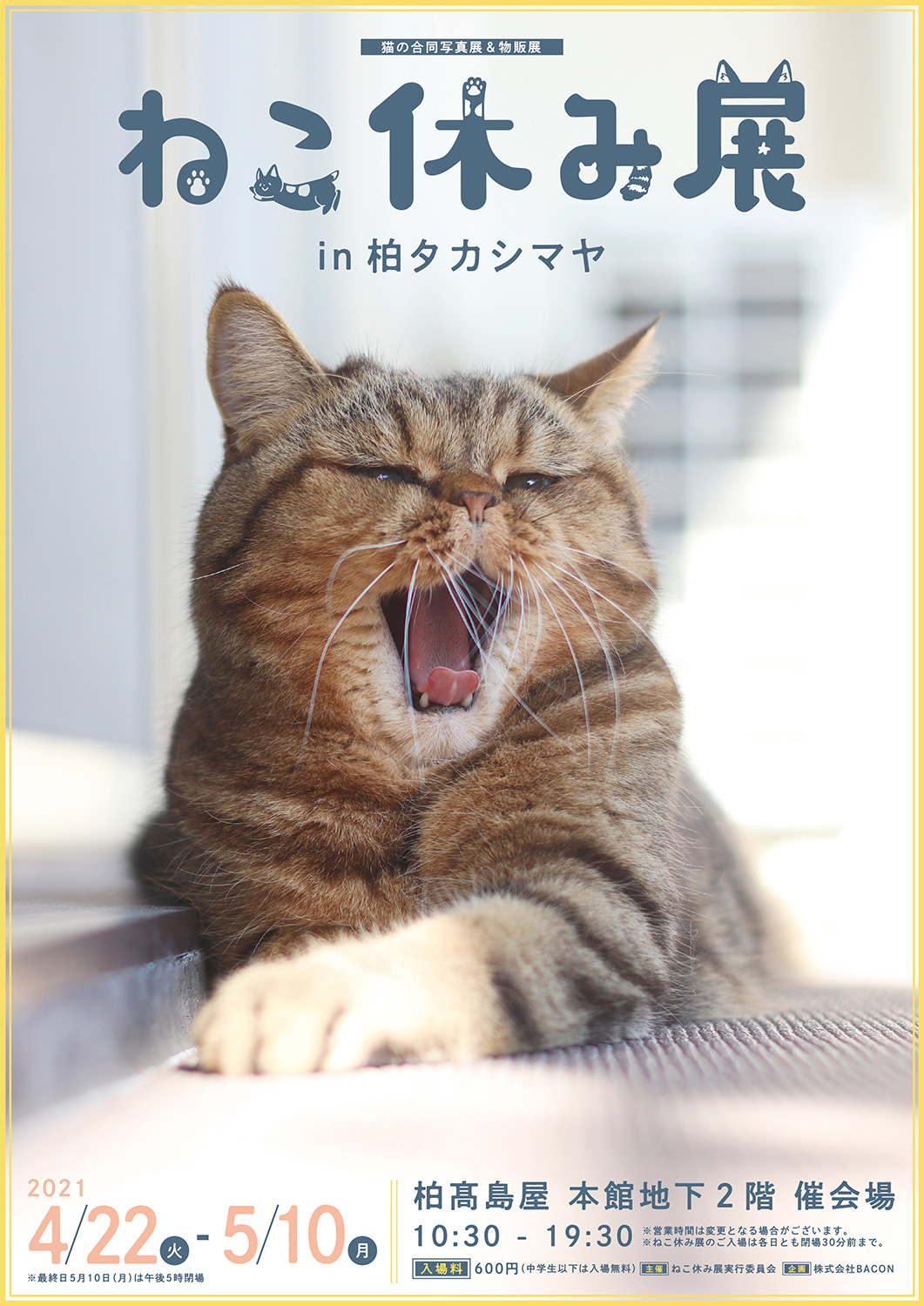 猫の合同写真展 物販展 ねこ休み展 In 柏タカシマヤ