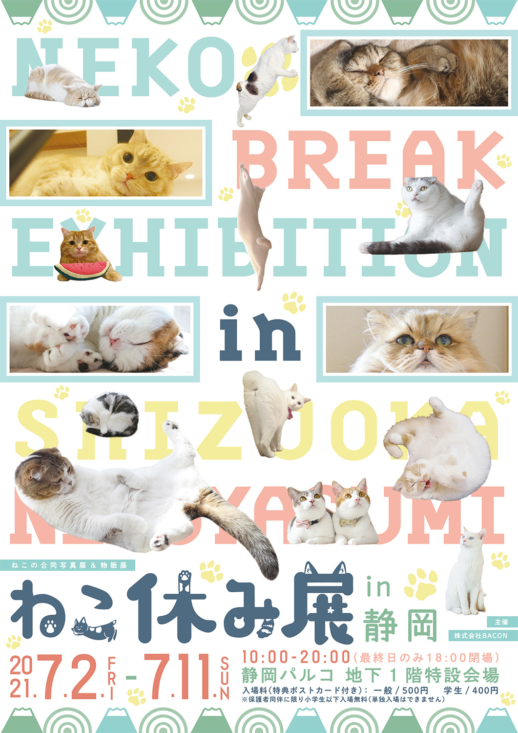 猫の合同写真展 物販展 ねこ休み展 In 静岡