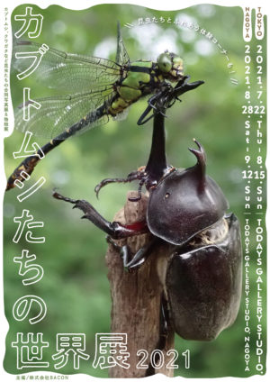 カブトムシやクワガタなど昆虫たちの合同写真展＆物販展「カブトムシ