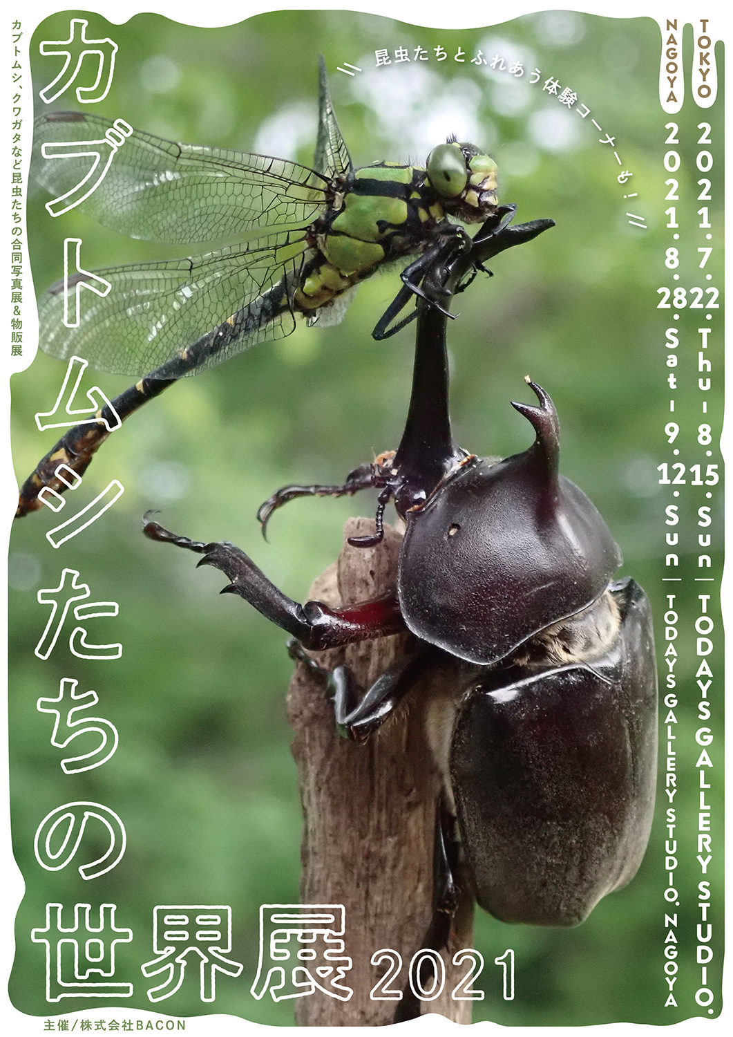 カブトムシやクワガタなど昆虫たちの合同写真展＆物販展「カブトムシたちの世界展 2021」 | 台東区浅草橋のギャラリー「TODAYS GALLERY  STUDIO」