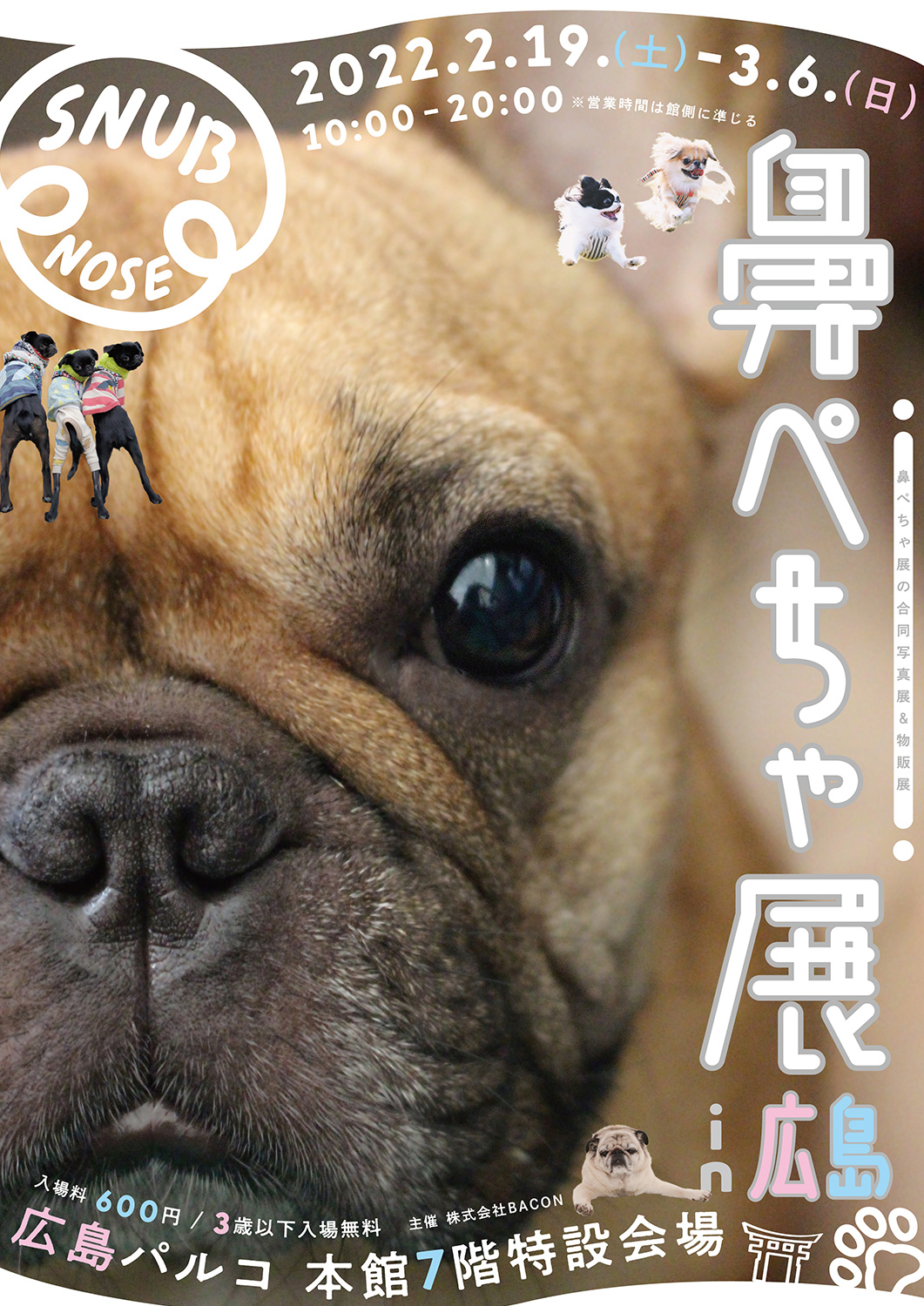 鼻ぺちゃ犬の合同写真展 物販展 鼻ぺちゃ展 In 広島