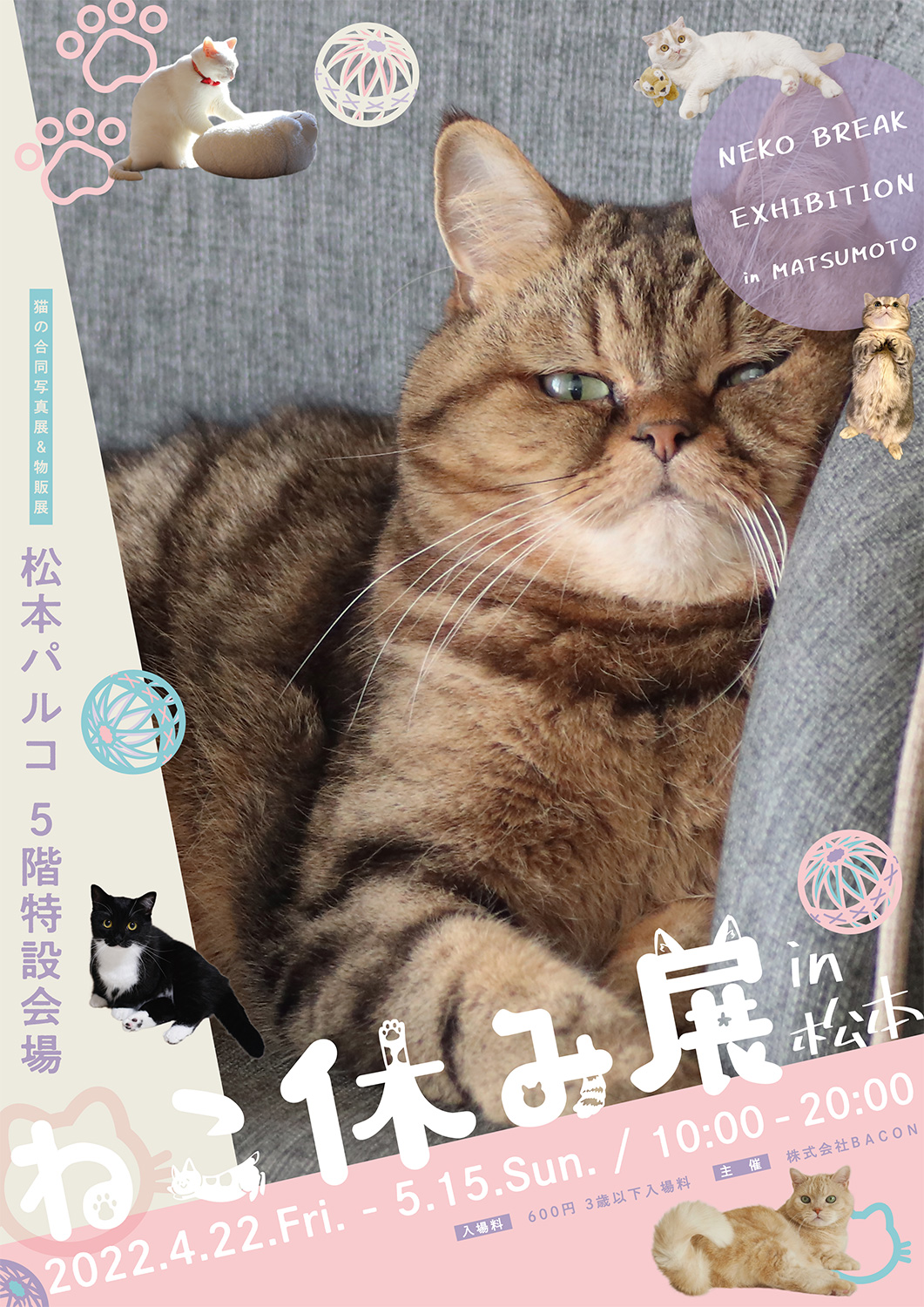 猫の合同写真展＆物販展「ねこ休み展 in 松本」