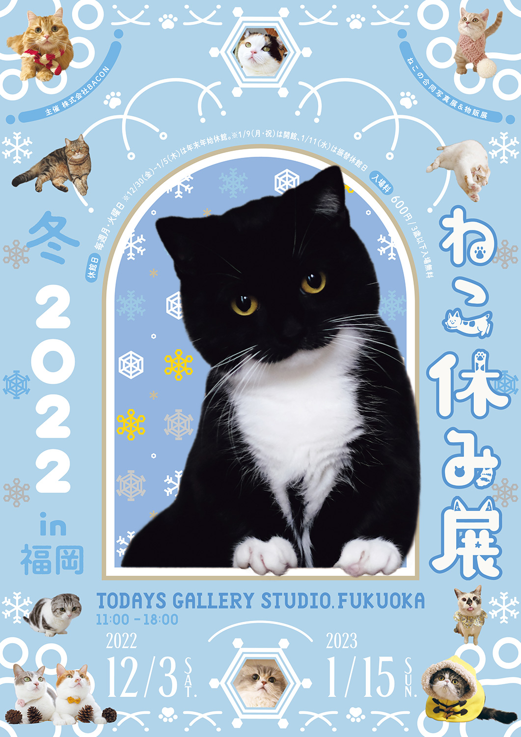 猫の合同写真展＆物販展「ねこ休み展 冬 2022 in 福岡」