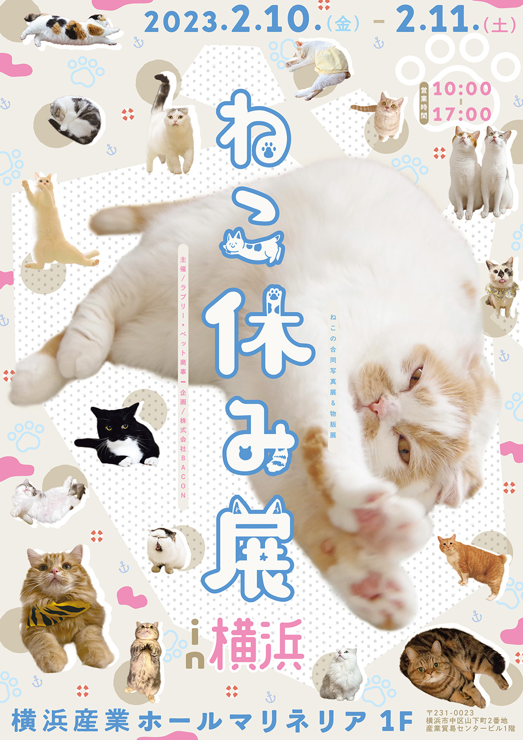 猫の合同写真展＆物販展「ねこ休み展 2023 in 横浜」