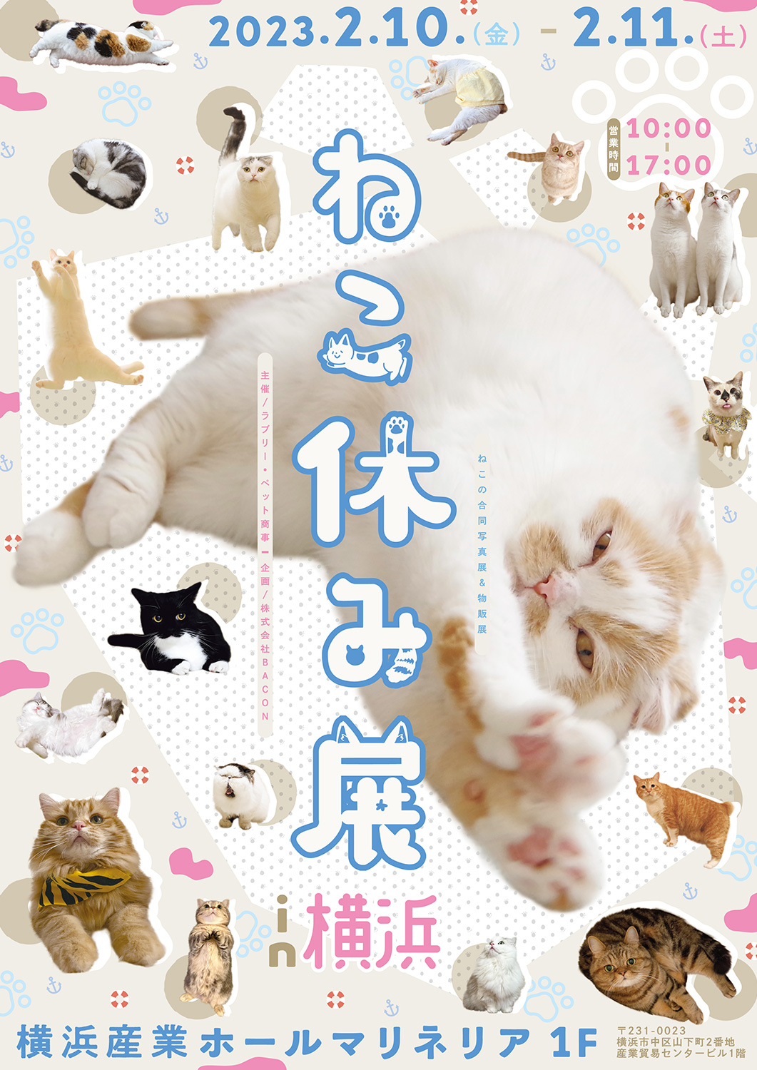 柔らかな質感の じゃれねこ フラワー×猫ちゃん① nascd.edu.bd