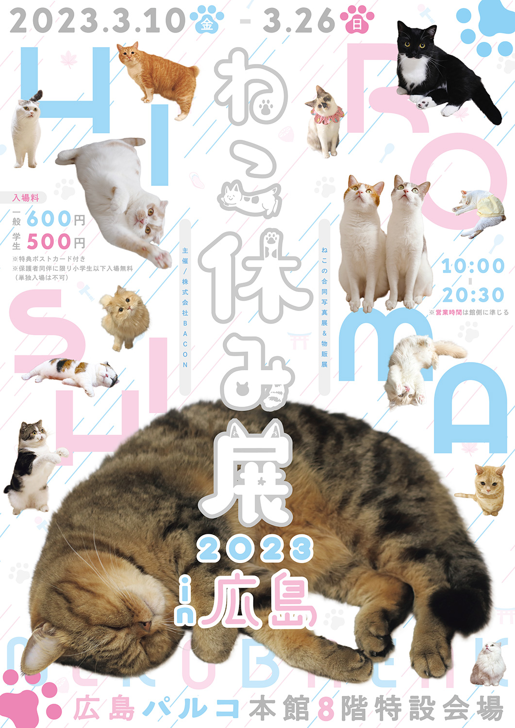 猫の合同写真展＆物販展「ねこ休み展 2023 in 広島」