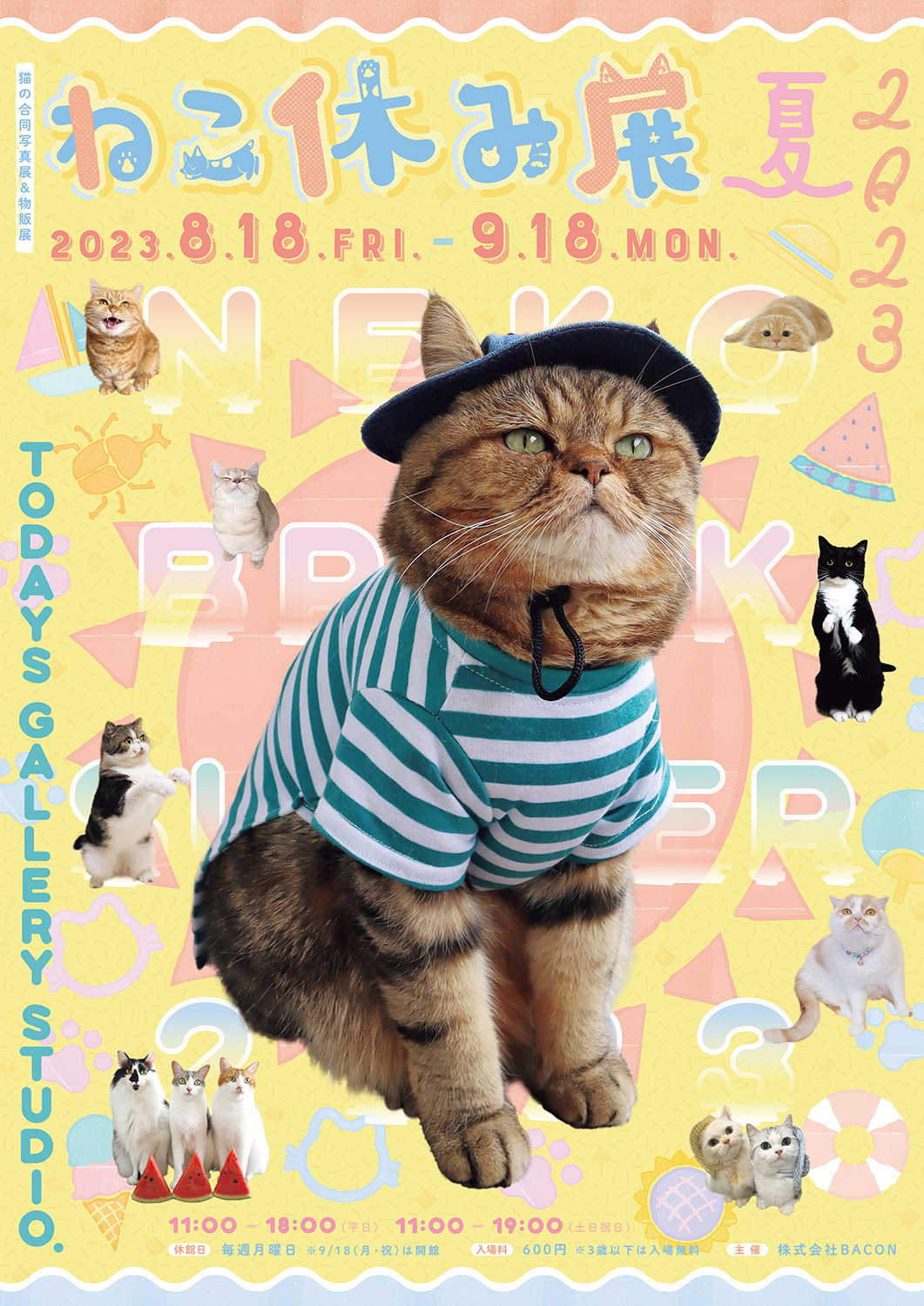 猫の合同写真展＆物販展「ねこ休み展 夏 2023」