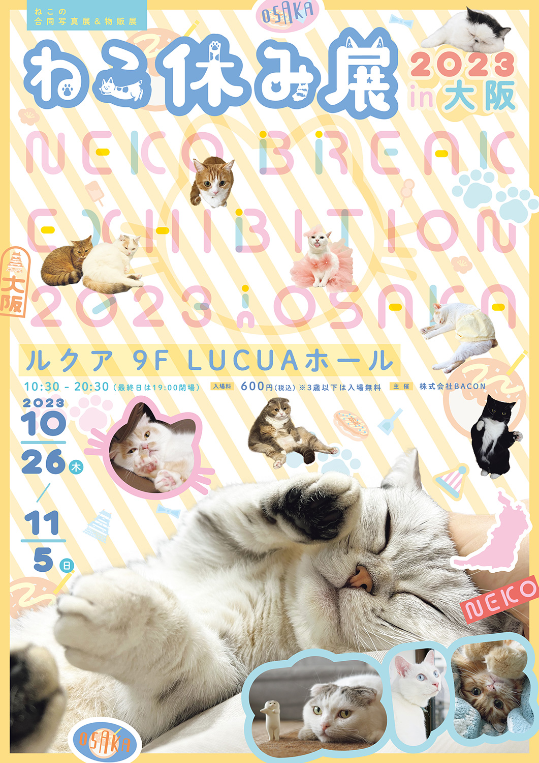 猫の合同写真展＆物販展「ねこ休み展 2023 in 大阪」