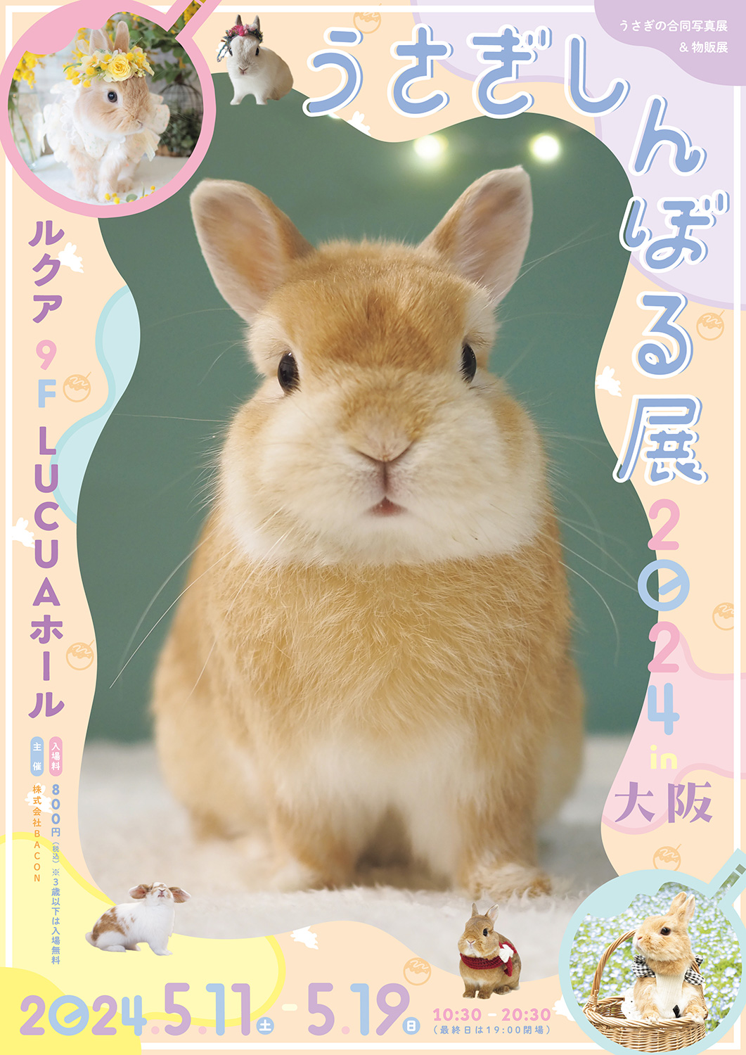 うさぎしんぼる展2024in大阪_T | 台東区浅草橋のギャラリー