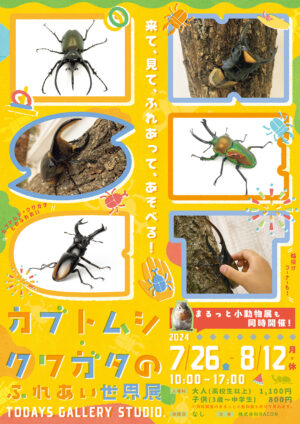 世界昆虫大百科 第2弾 世界のカブトムシ＆クワガタ 10個セット