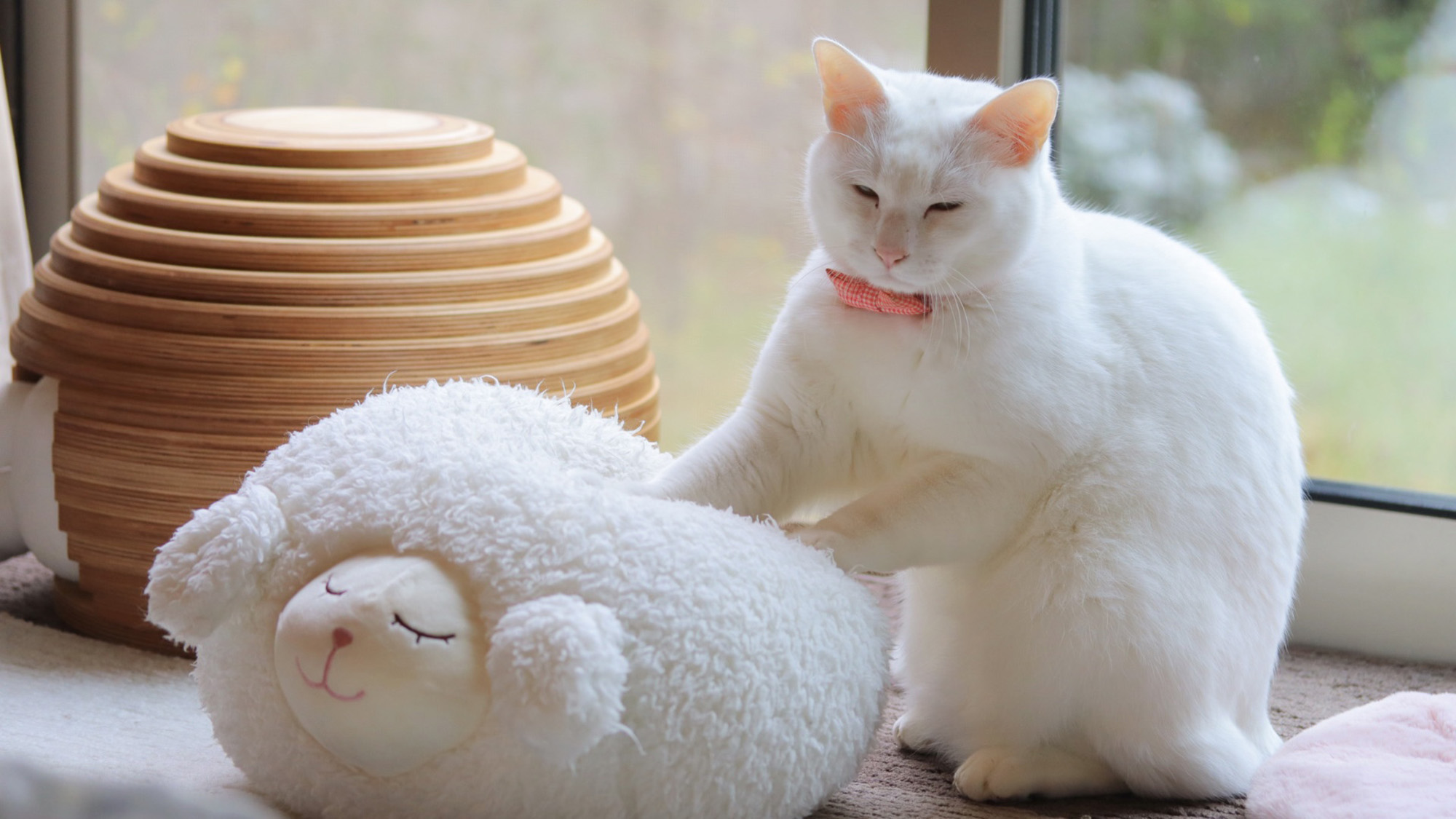 無重力猫ミルコのお家 | 台東区浅草橋のギャラリー「TODAYS