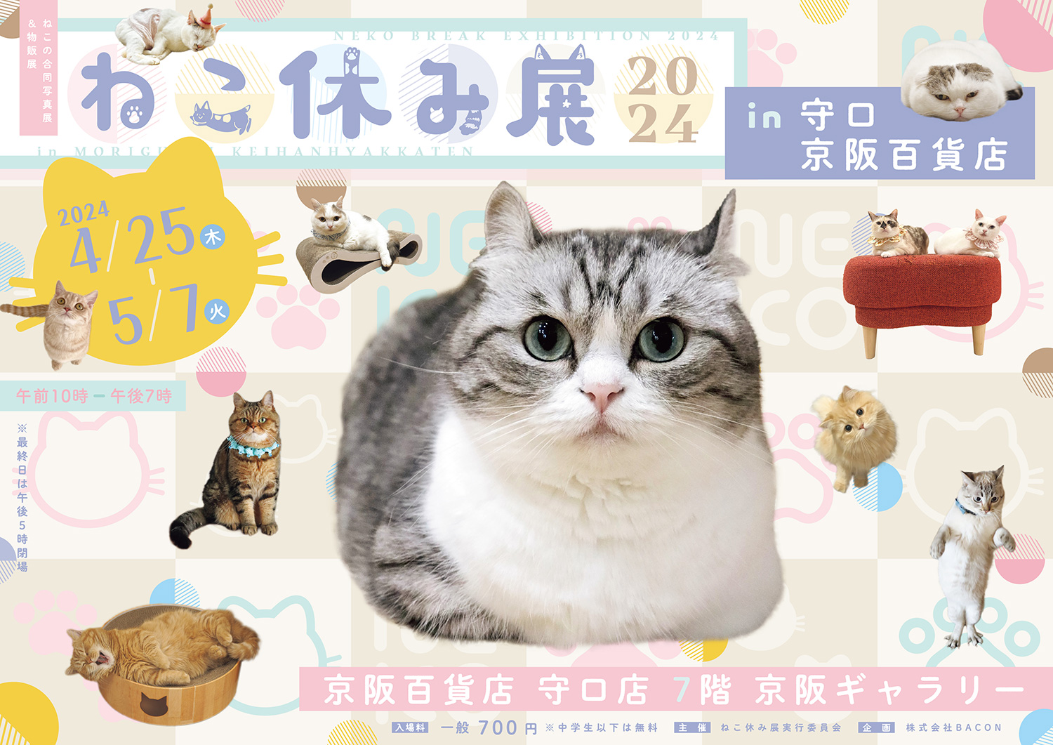 ねこ休み展in守口-京阪百貨店_Y | 台東区浅草橋のギャラリー