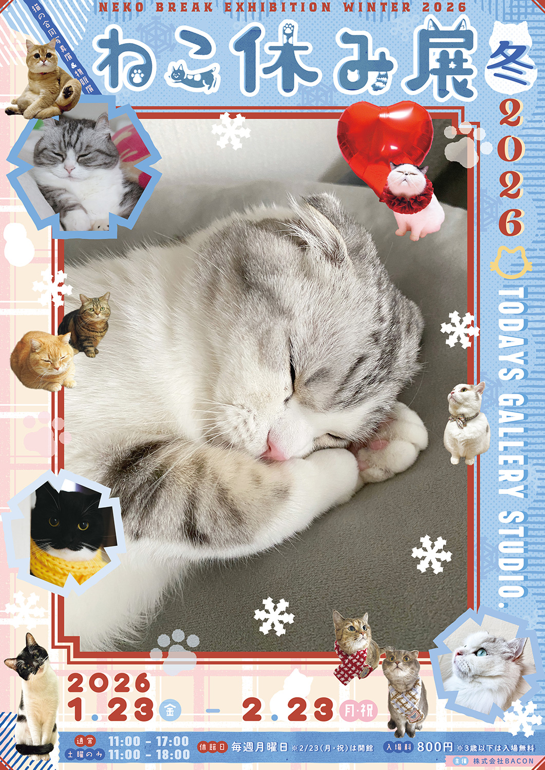 ねこ休み展冬2026_T_B2 | 台東区浅草橋のギャラリー「TODAYS GALLERY
