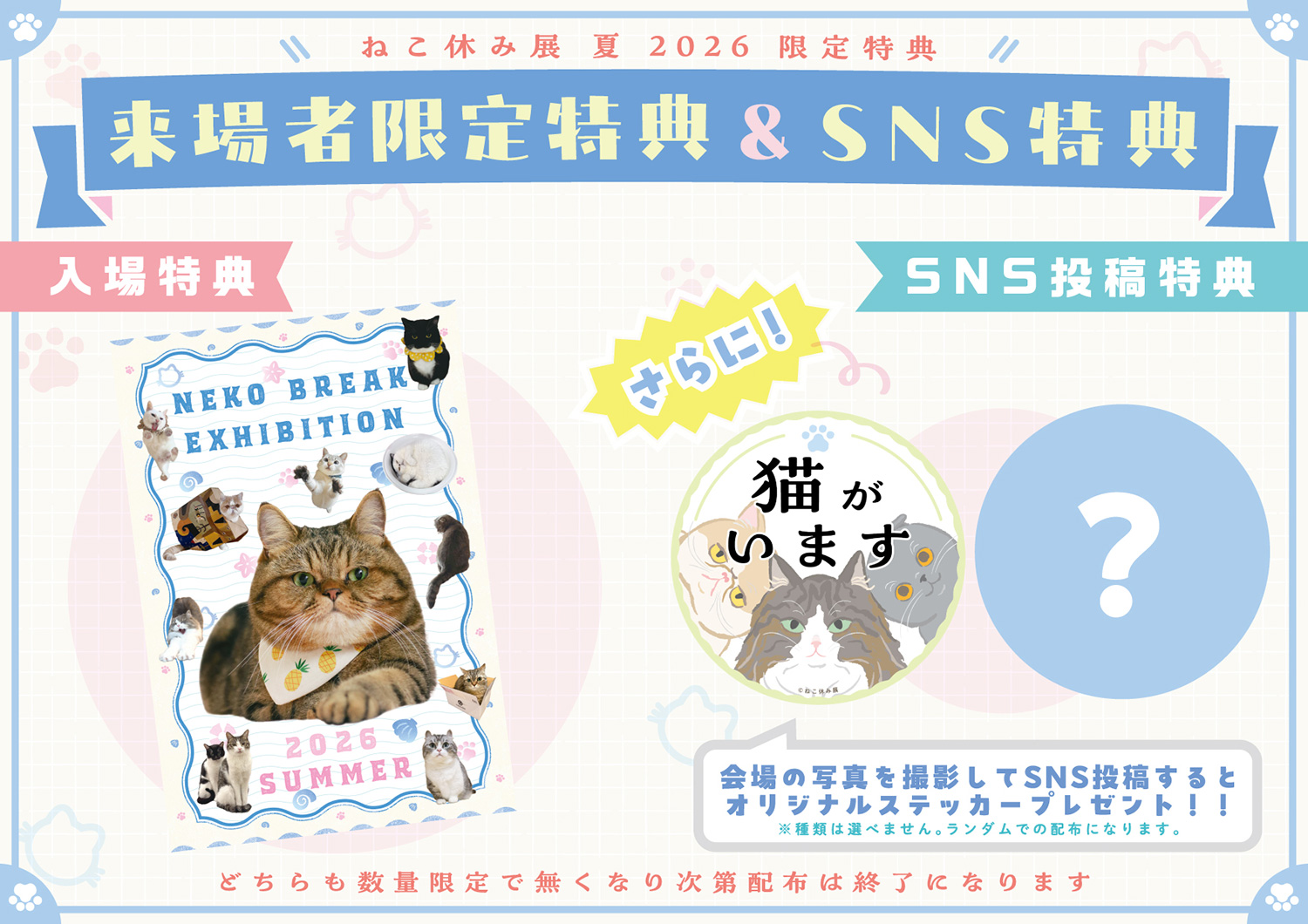 ねこ休み展 夏 2026